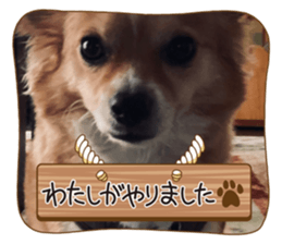 536841456