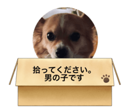 536841460