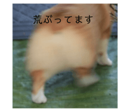 536843292