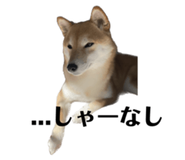 536847711