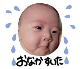 536875481