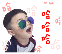 53688229