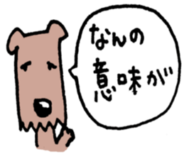 5368847