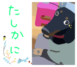 536893475