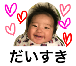 53692528