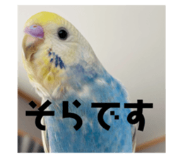 536949865