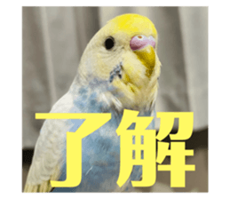 536949866