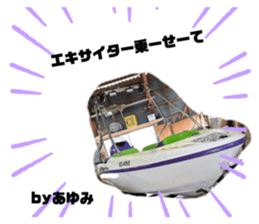 537020818