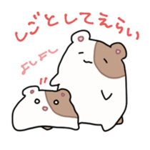 537027069