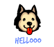 537038807