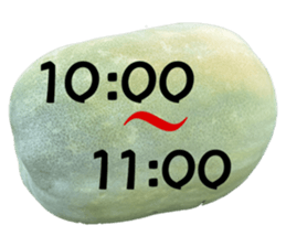 537069066