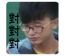 537077474