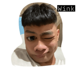 537093647