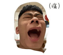 537093652