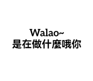 537100460