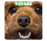 537171867