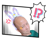 537200355