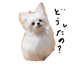 537209735