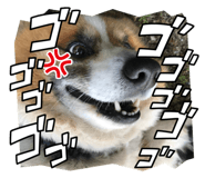 537245735