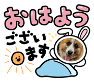 537245747