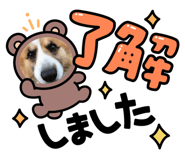 537245750