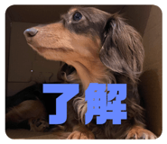 537274043