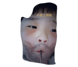 53727562