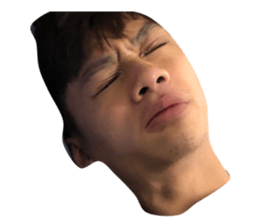 53727632