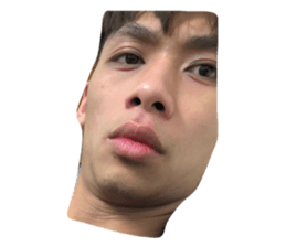 53727633