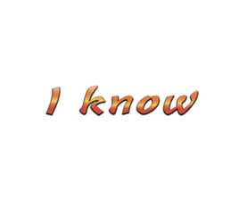 537300770