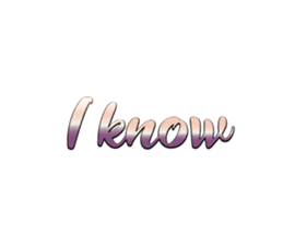 537301666