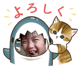 537317385