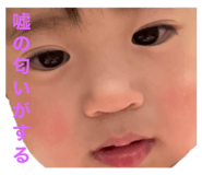 537317713