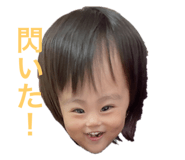 537317715