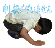 53733096
