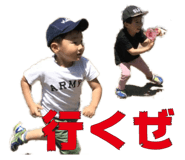53733098