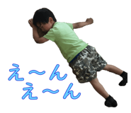 53733100