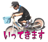53733102