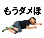 53733107