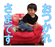 53733109