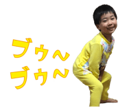 53733118