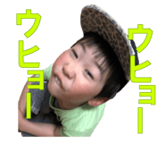 53733119