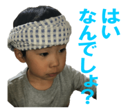 53733120