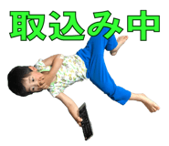 53733123