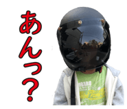53733127