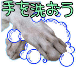 537344026