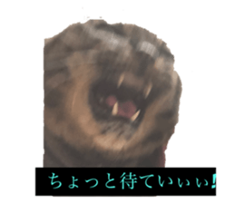537344462