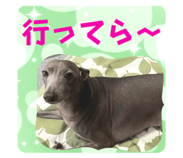 537383055