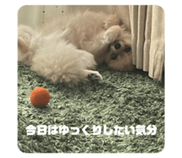 537385003