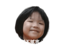 537391236